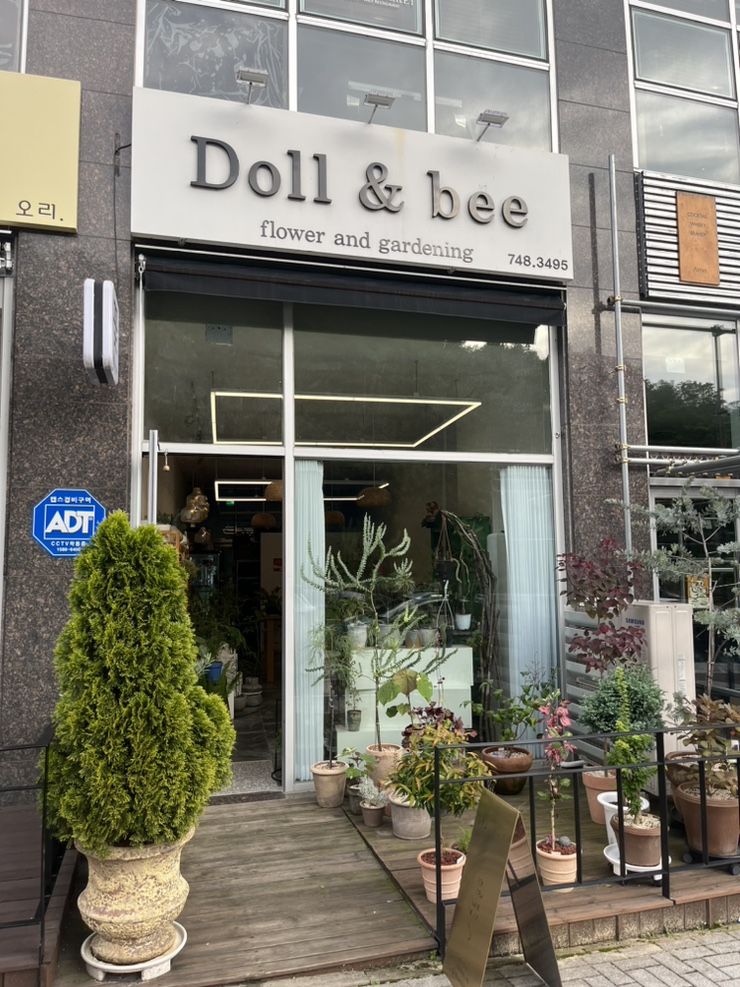 돌앤비 이미지