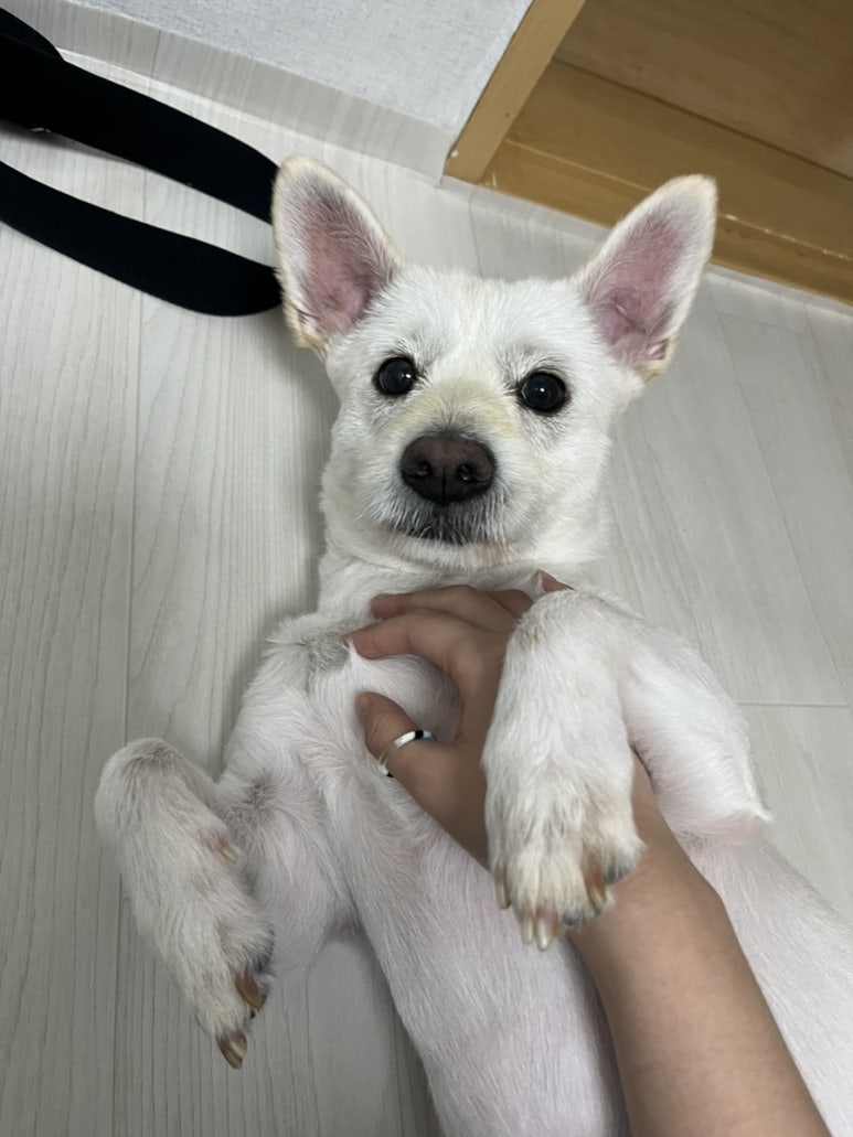 팔도강산노래방 이미지