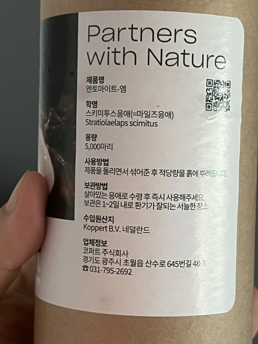 엠퍼트 이미지