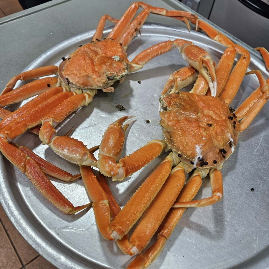 금광호수산 이미지
