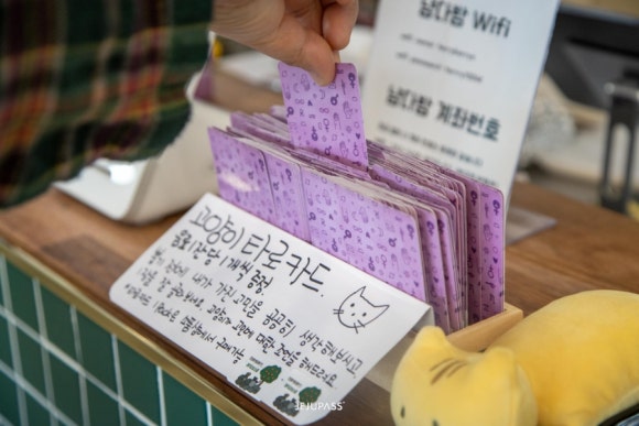 냥다방 이미지