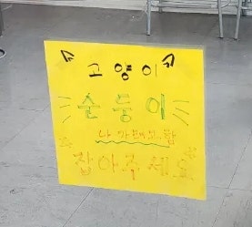 인제로262 이미지