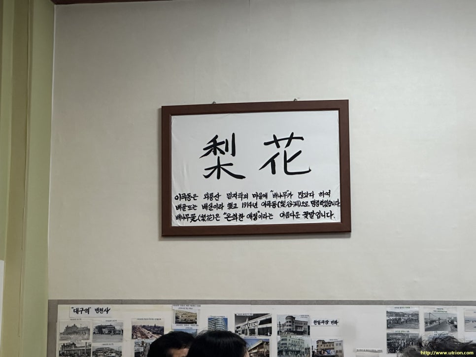 이화야영장 이미지