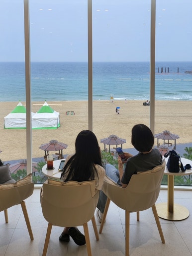 트리고삼척 이미지