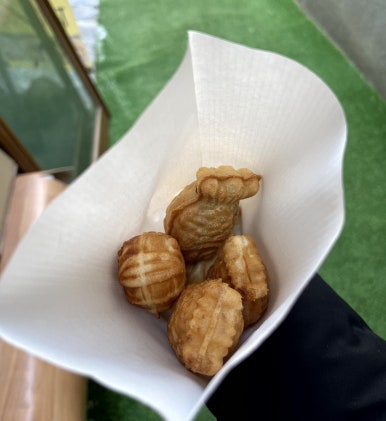 대가호 이미지