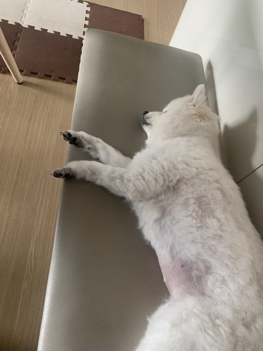 밀크앤허니 의정부점 3층 이미지