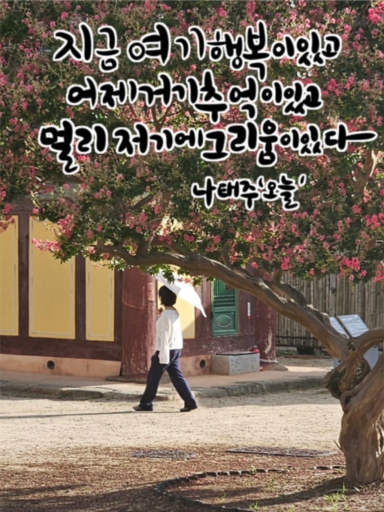 이치발 이미지