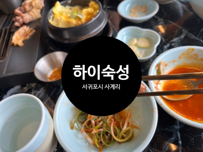 하이숙성 이미지