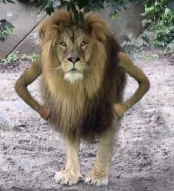 칠월밤 이미지