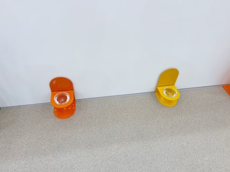 몽쉘댕댕 이미지