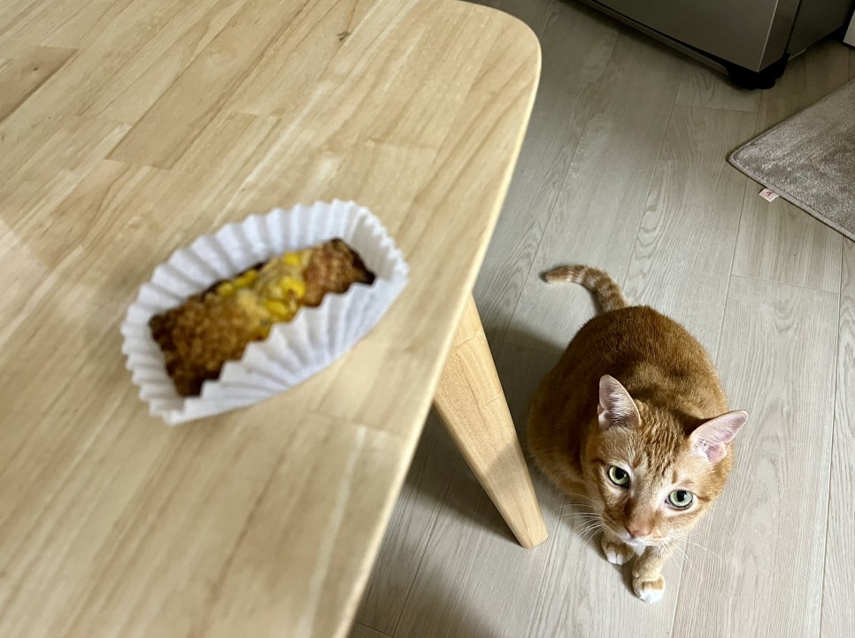 옥쓔타코 이미지