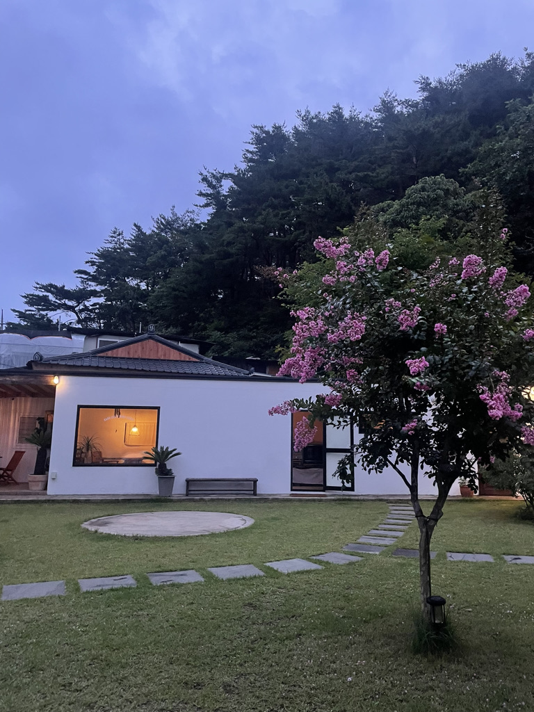 하조델리 이미지