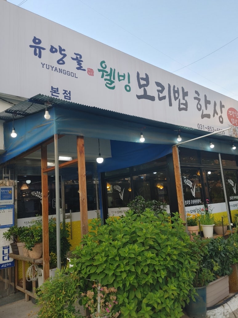 유양골 웰빙보리밥한상 이미지