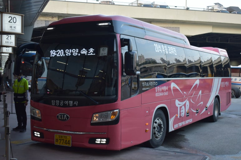 강릉시티투어여행사 이미지