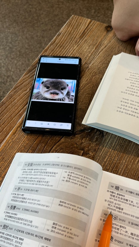 희노애락 이미지