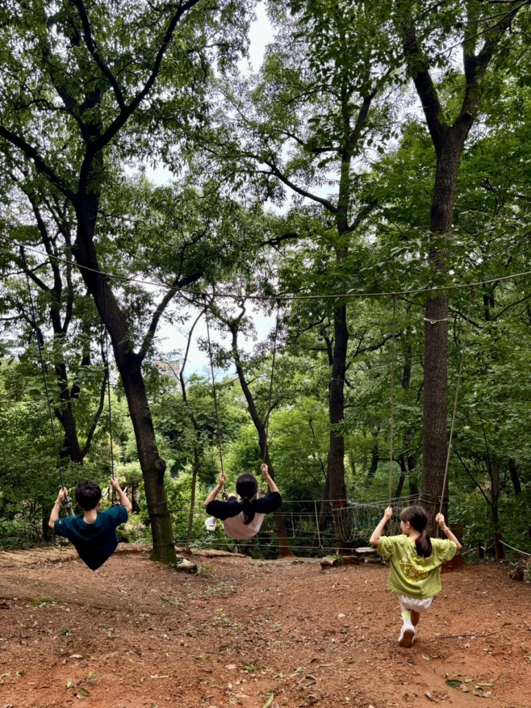 오봉산유아숲체험원 이미지