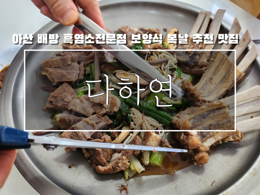 흑염소전문점 다하연 이미지