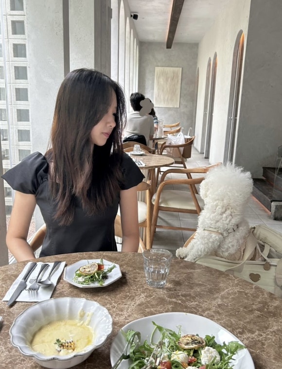 프레누 이미지