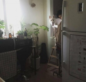 (주)엄마 이미지