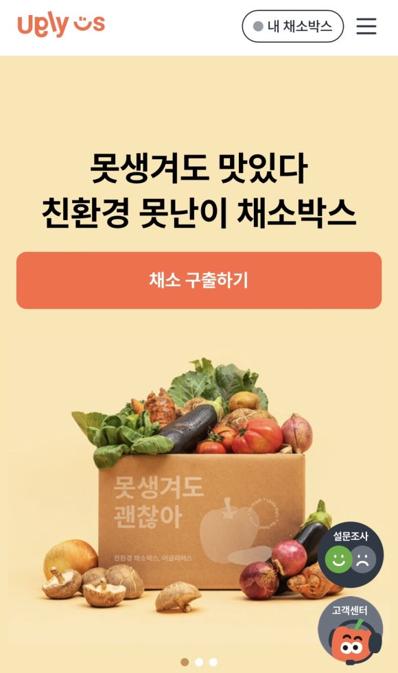 목화반점 이미지
