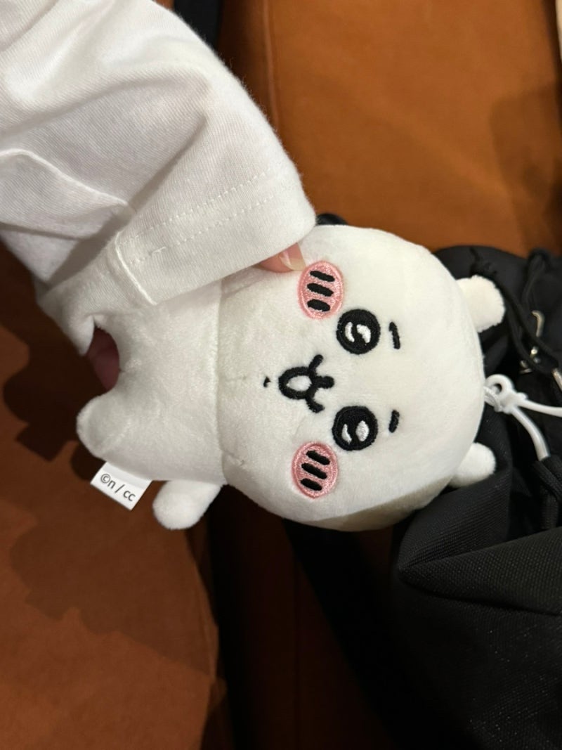 채니 이미지