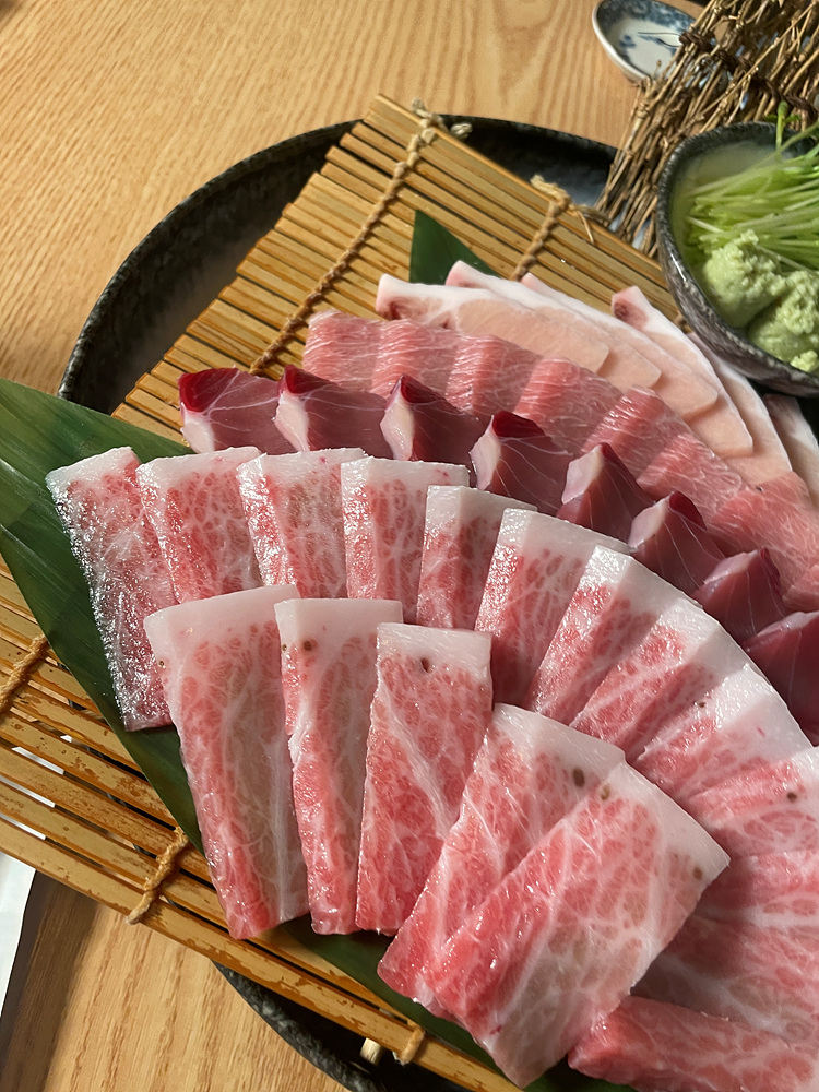요이참치 이미지