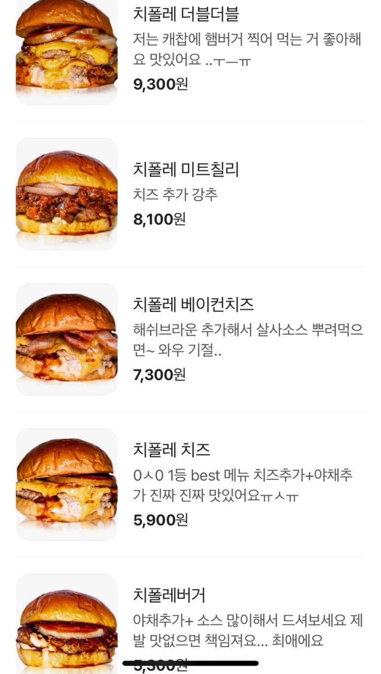 투웨이버거치폴레 이미지