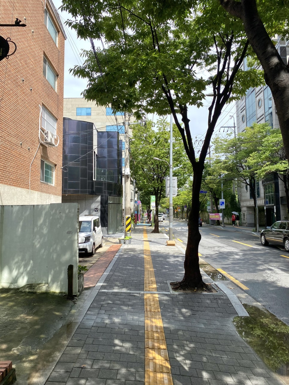데이토나레코즈 이미지