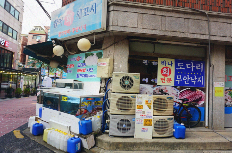 세꼬시회식당 이미지