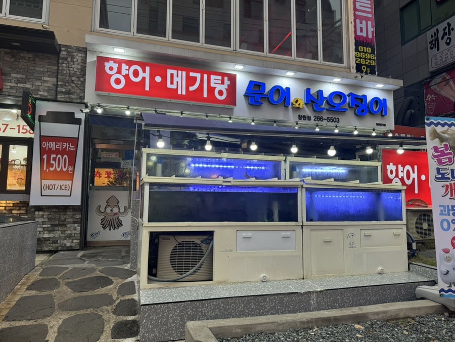 문어와산오징어 이미지