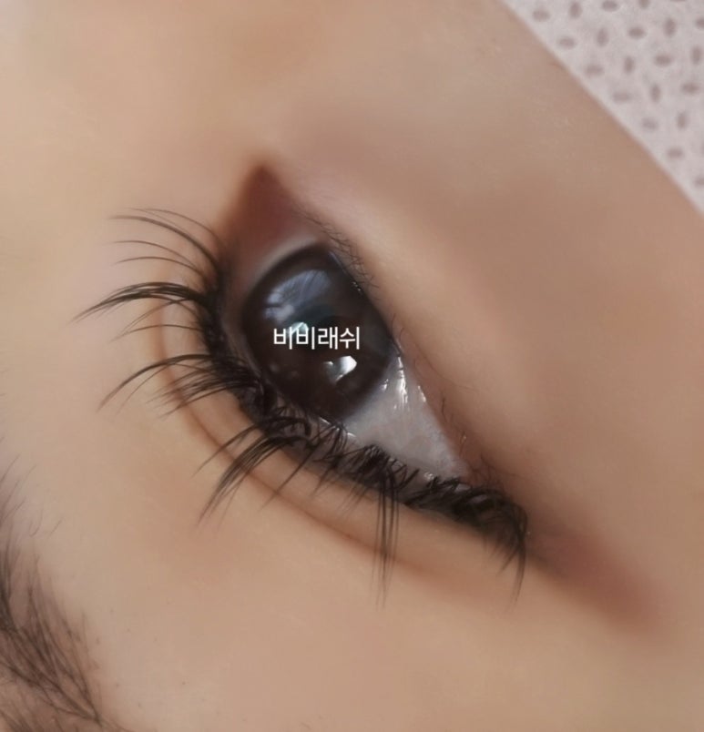 비비래쉬 이미지