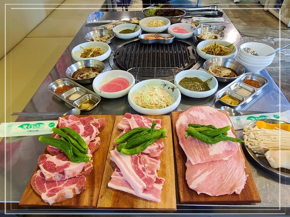 돈구어 이미지