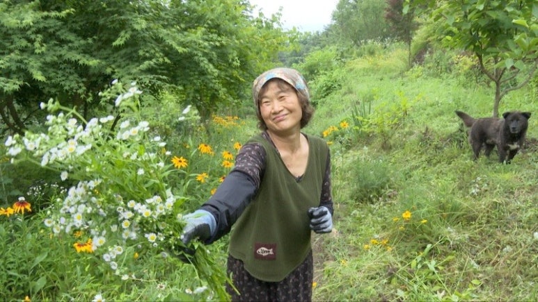 꽃과사는여인 이미지