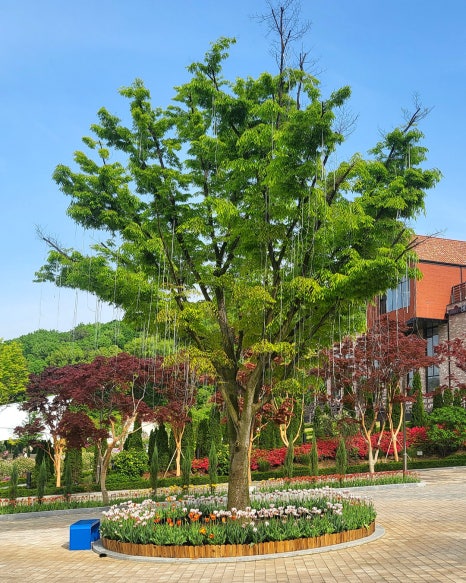 나무카페화원 이미지