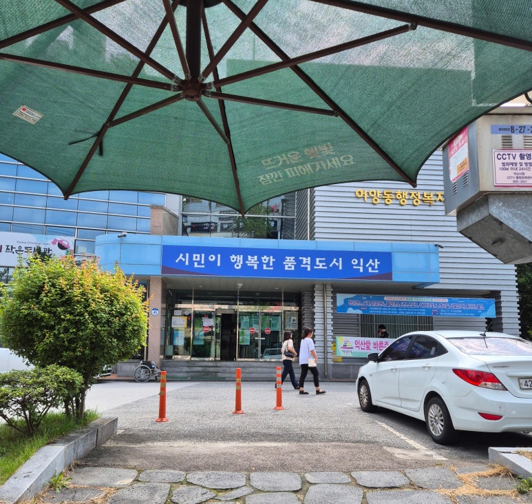 볼오브크림 이미지