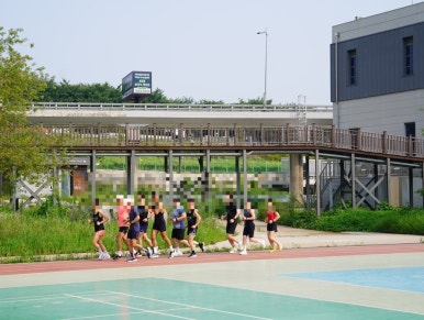 디오솔루션 이미지