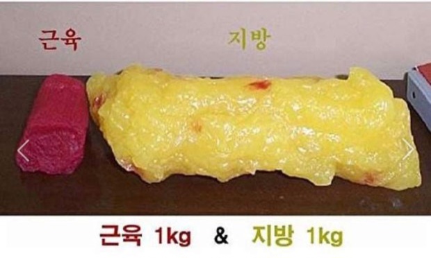 현주테크 이미지