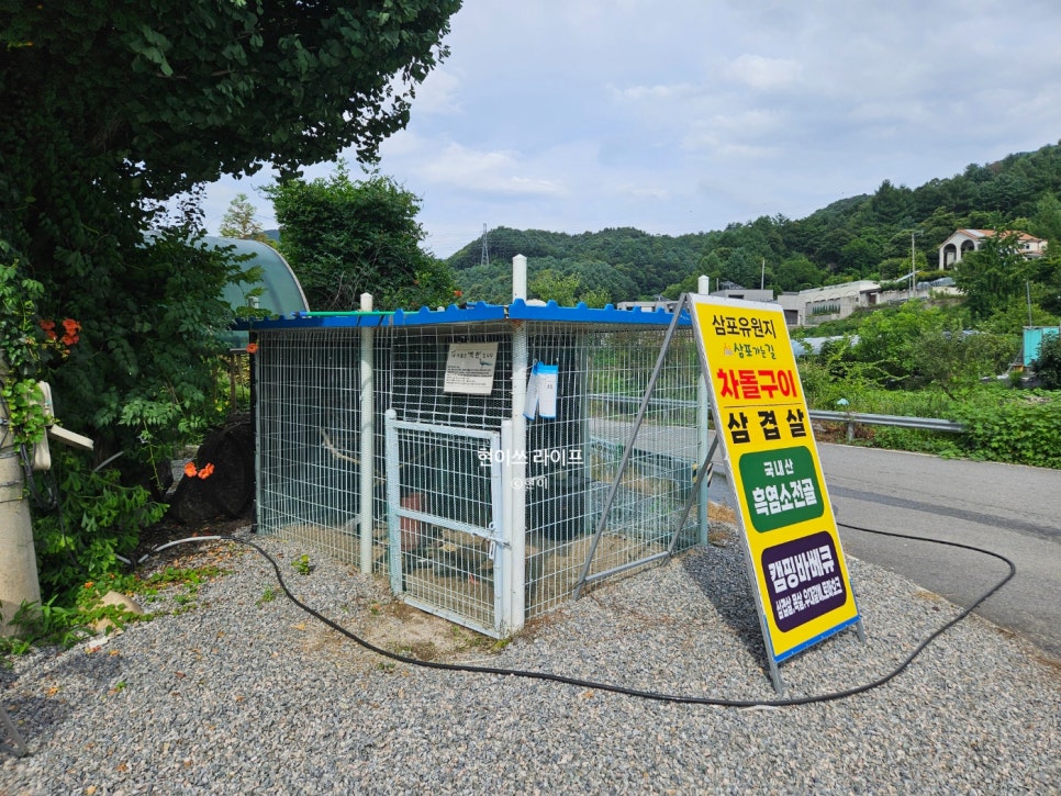 머물다삼포 이미지