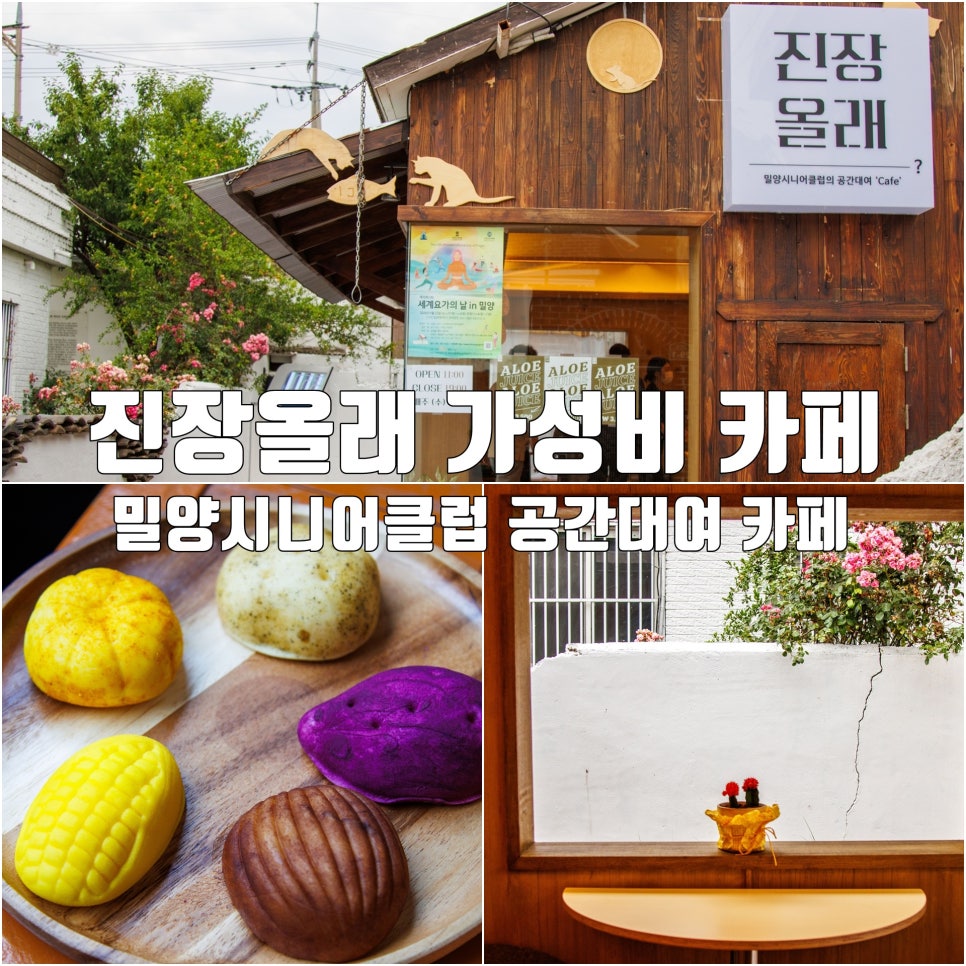 밀양시니어클럽진장올래 이미지