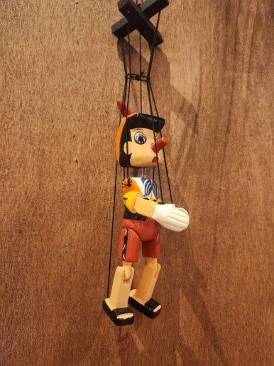 조은 꼬기 이미지