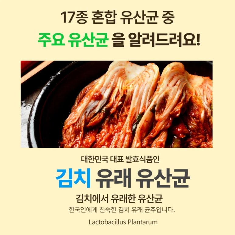 테디베어에프엔비 이미지