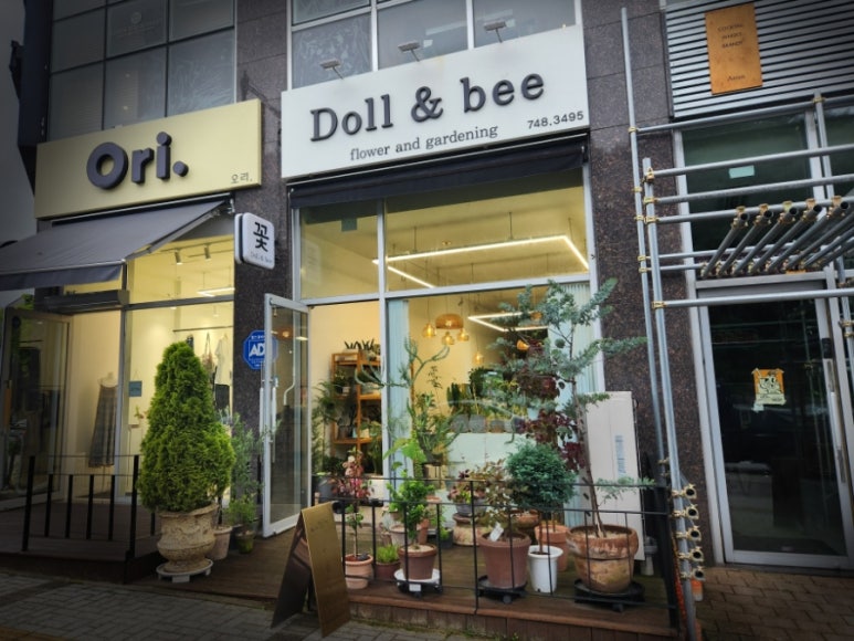 돌앤비 이미지
