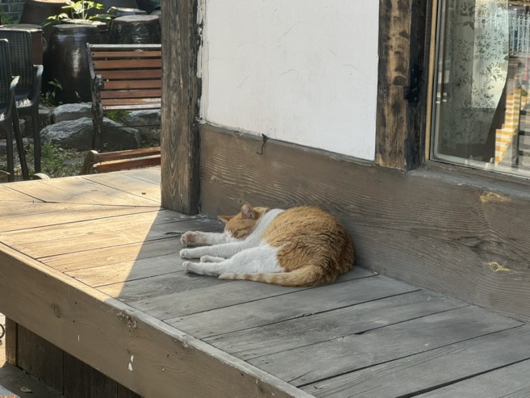 도돌코딩학원 이미지