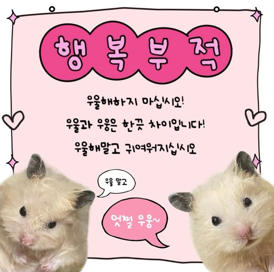 네일열림 이미지