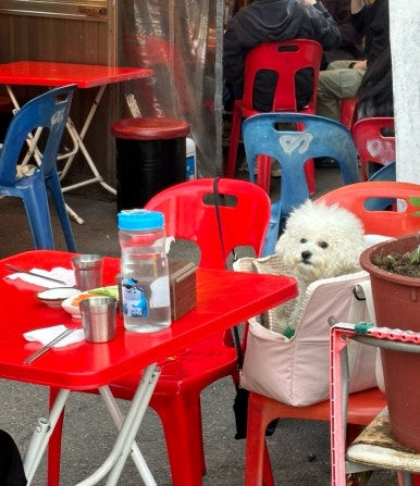 삼거리실내마차 이미지