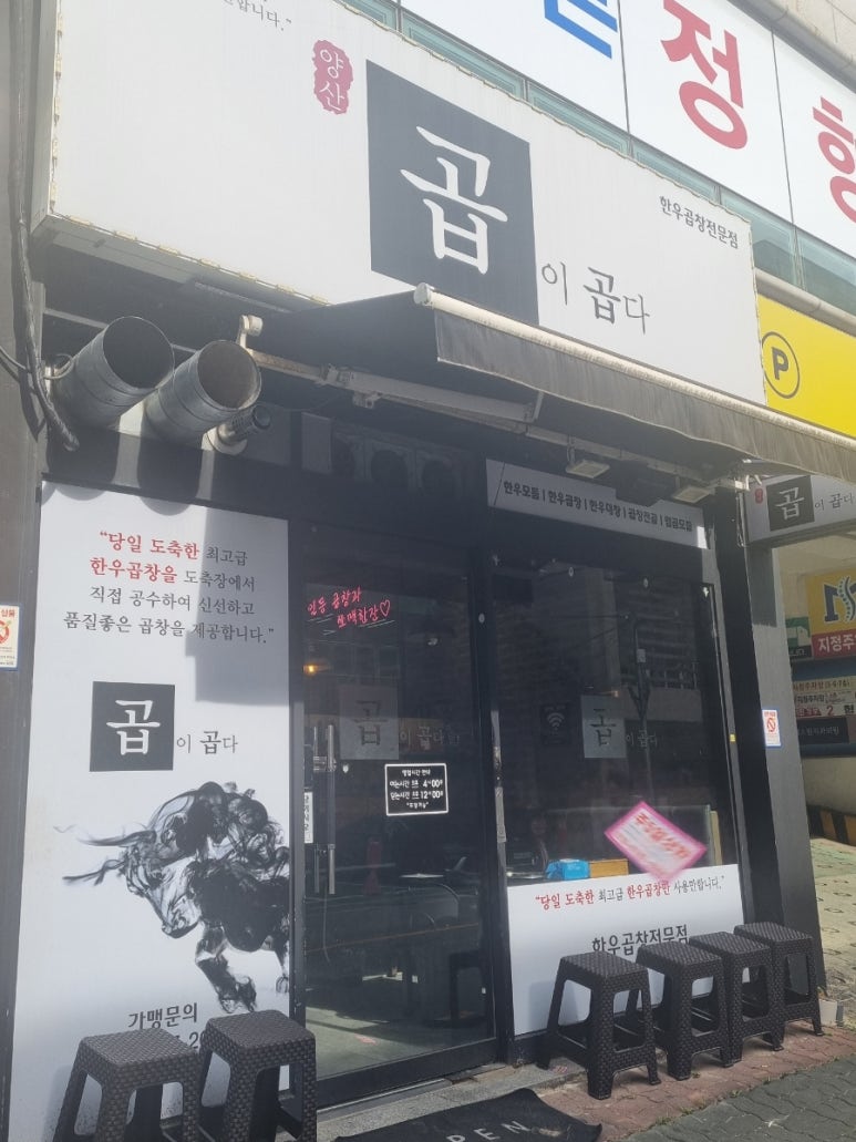 곱이곱다 이미지