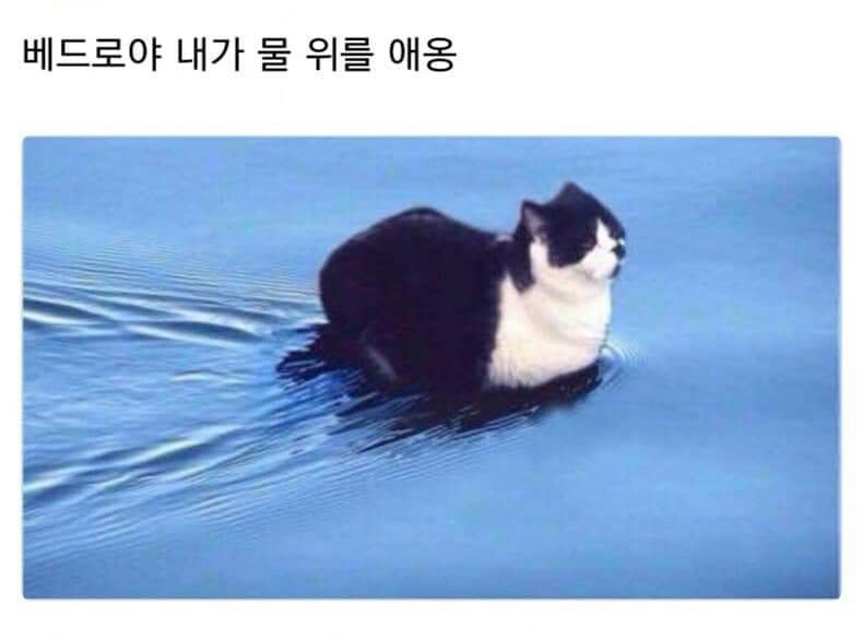 (주)네잎 이미지