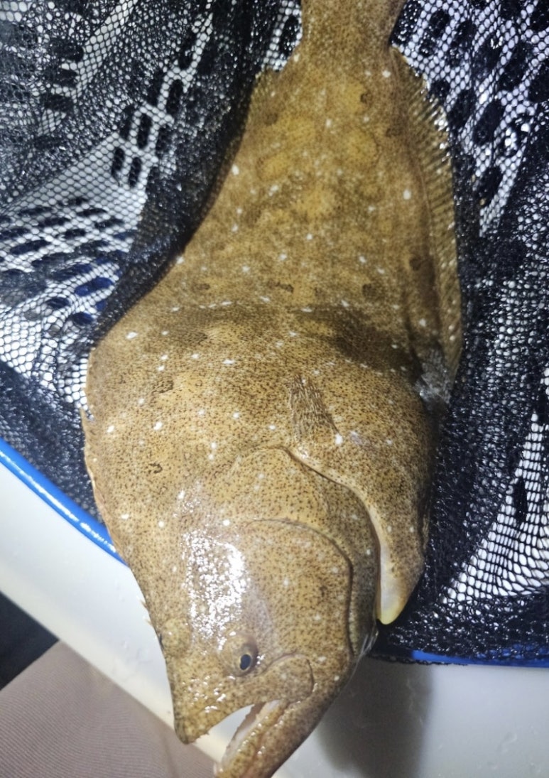 빅히트바다낚시터 이미지