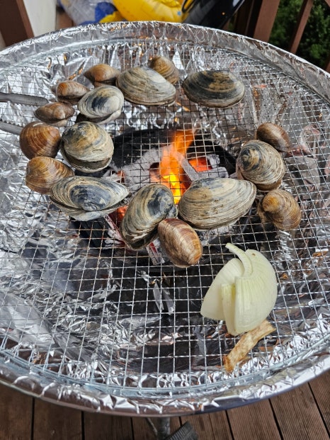 해노을 이미지
