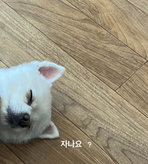 후린부산우동 이미지